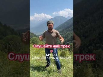 ВИКТОР СОРОКИН/MY-RO Шёл да конь степной.