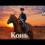 Выйду ночью в поле с конём