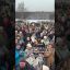 Московский Казачий Хор      #масленица#shorts